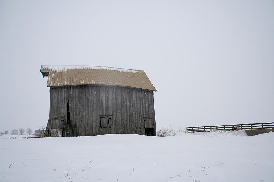 Gentle Snow Barn Photograph by Dylan Punke