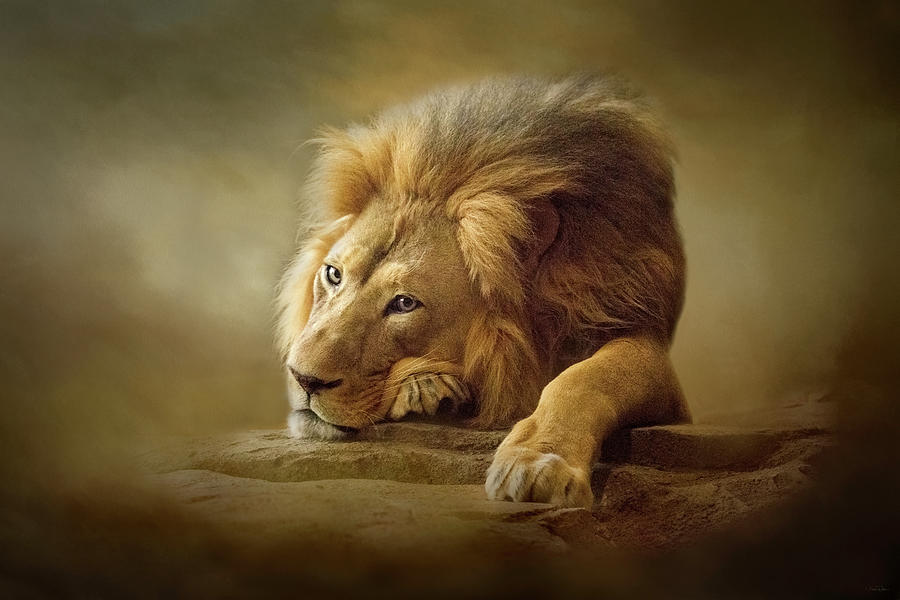 Lion Digital Art - Gentle Soul by Nicole Wilde