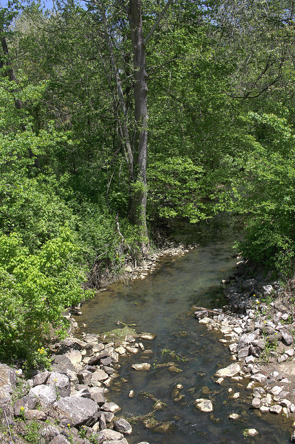 Gentle Stream - May 2023 Photograph by Joseph A Langley