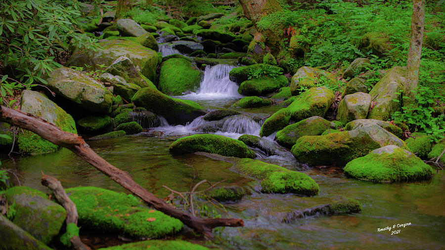 Cascading Mountain Stream Photograph by Tim Corzine - Fine Art America