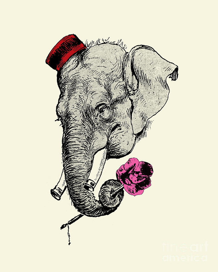 Elephant Digital Art - Gentleman elephant with pink rose by Madame Memento