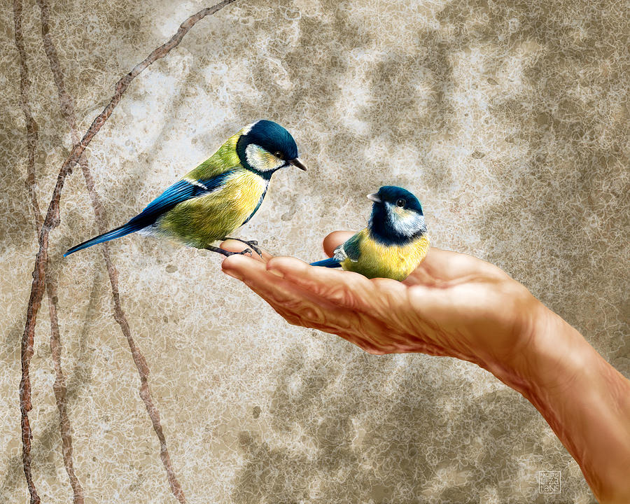 Bird Painting - Gently, gently... by North Liza Lane
