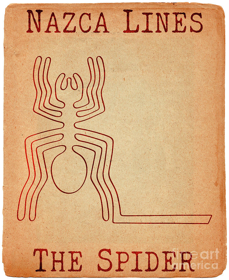 Geoglyph of the spider from Nazca Drawing by Michal Boubin