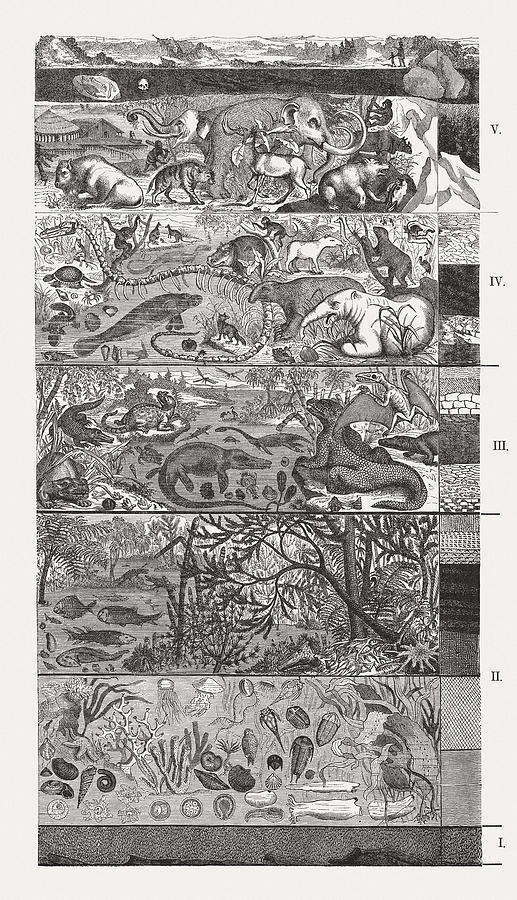 Geologic time scale, wood engraving, published in 1872 Drawing by Zu_09
