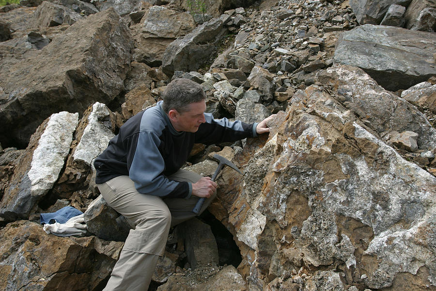 Geologist scientist man looking at rock in quarry Photograph by Mikeuk