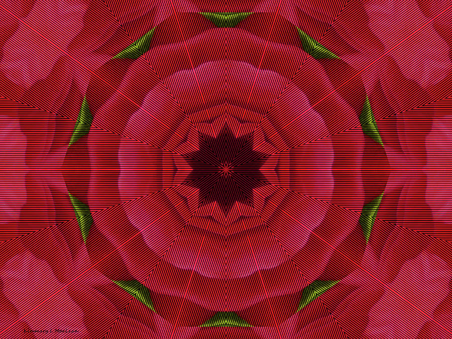 Geometric Rose Digital Art by Kimmary I MacLean