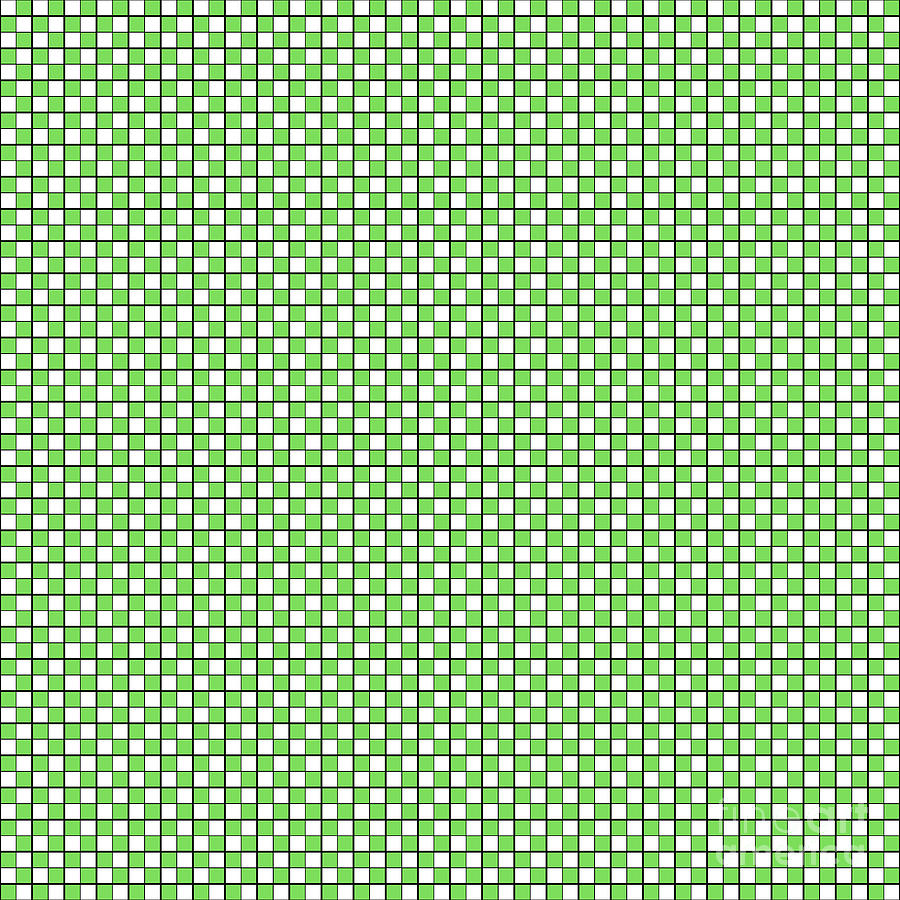 Geometric Square Grid Light Window Lattice Pattern In Green N.732 Painting