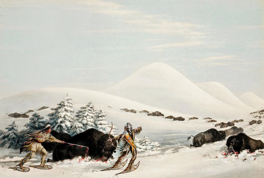 George Catlin American 1796 1872 North American Indian Portfolio  Buffalo Hunt On Snow Shoes Plate 1 Painting