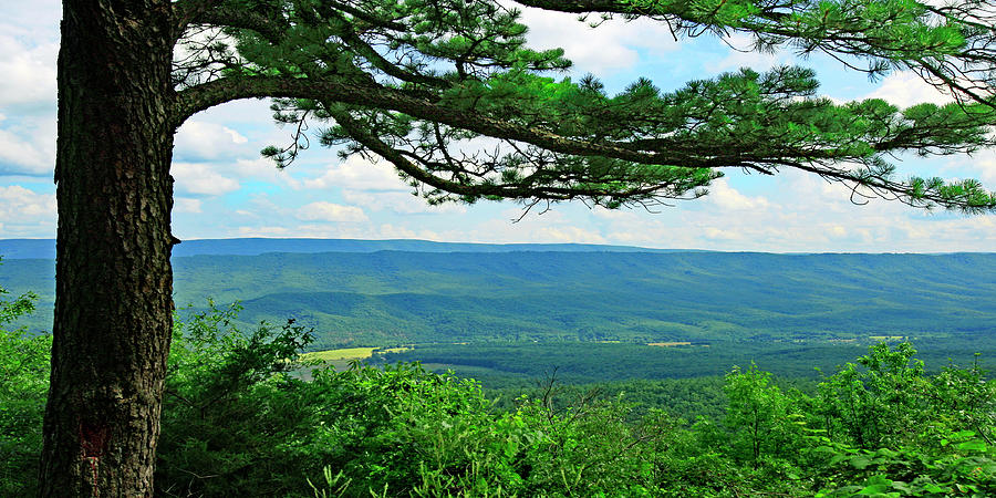 George Washington Appalachian Mountain Range, Virginia Photograph by The James Roney Collection