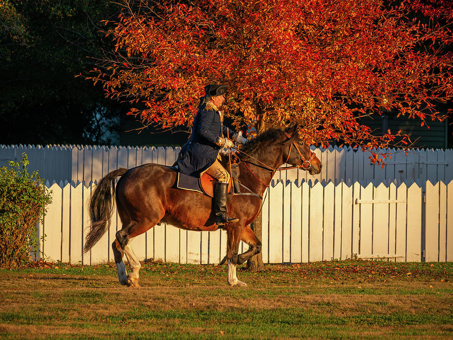 George Washington on Horseback in November Photograph by Rachel Morrison