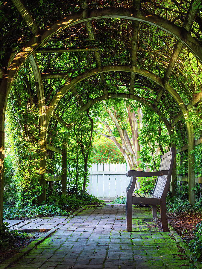 George Wythe Garden Trellis in Late Spring Photograph by Rachel Morrison George Wythe Garden Trellis in Late Spring Photograph by Rachel Morrison
