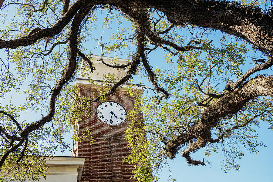Georgetown Clock Tower and Rice Museum, South Carolina Photograph by Dawna Moore Photography