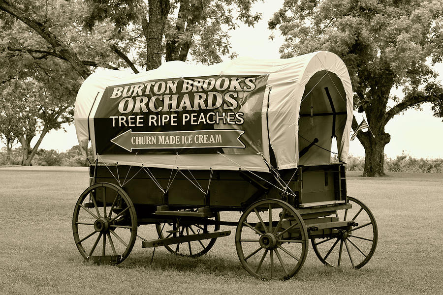 Georgia Covered Wagon Photograph by Kathy K McClellan
