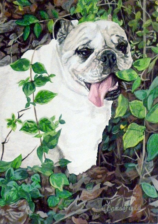 English Bulldog Painting - Georgia by Cynthia Brassfield