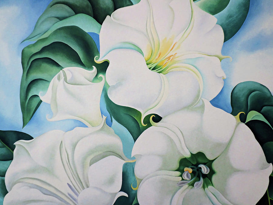 Georgia OKeeffe Jimson Weed 1936 Art Print Flower Painting Poster ...