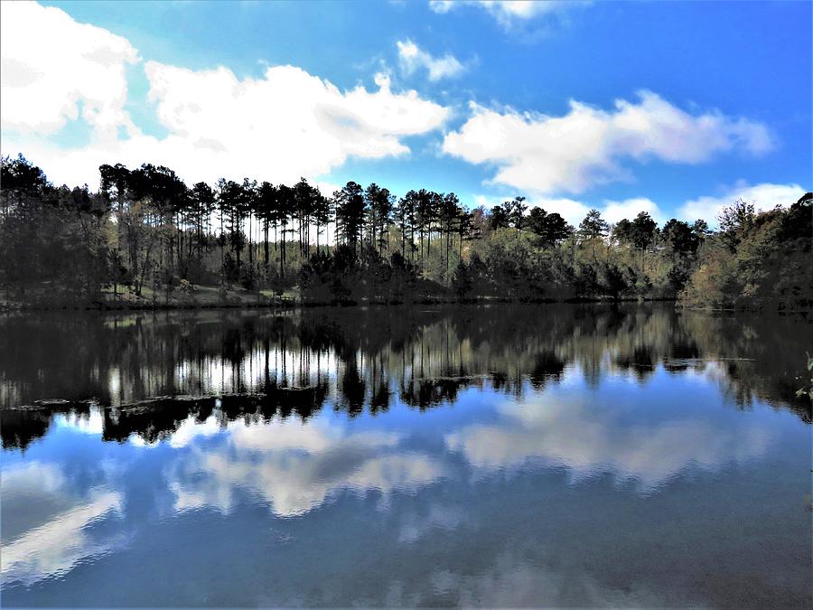 Georgia Pond Reflections Photograph