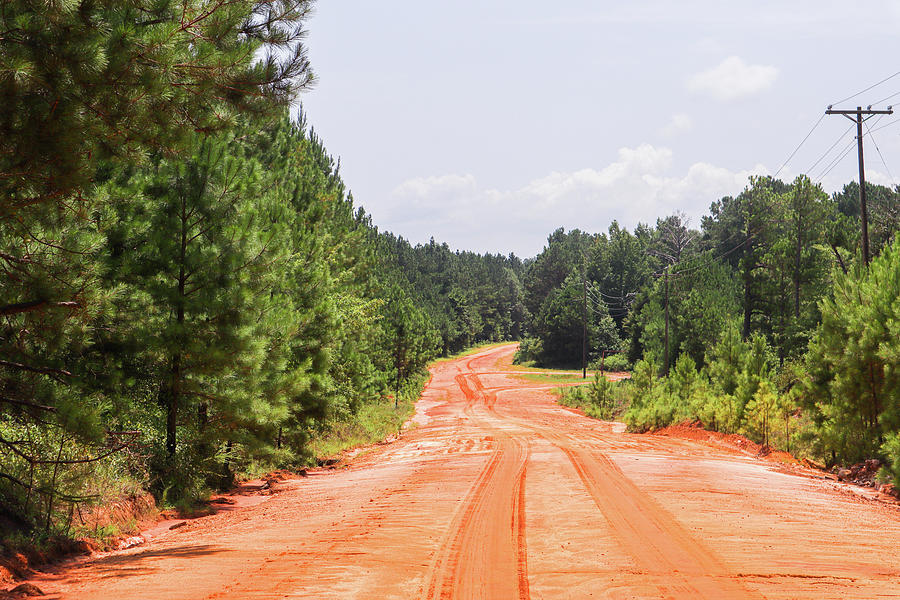 Georgia Red Mud Tracks Photograph by Ed Williams