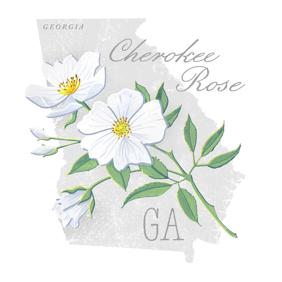 Georgia State Flower Cherokee Rose Art by Jen Montgomery Painting by Jen Montgomery