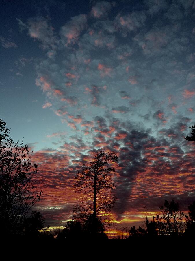 Georgia Sunset 1 Photograph by Brandon Strellis Georgia Sunset 1 Photograph by Brandon Strellis