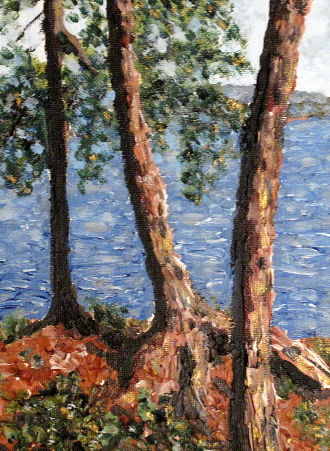 Georgian Bay Jack Pines Painting by Ian  MacDonald