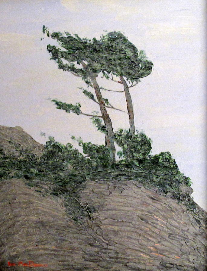 Georgian Bay Pines Painting by Ian  MacDonald