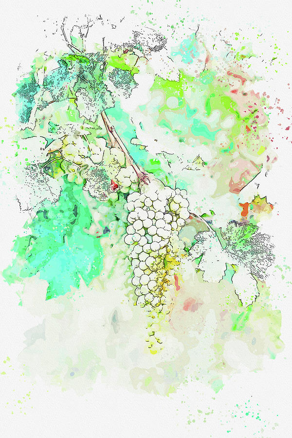 Georgian Grape.jpgrape, ca 2021 by Ahmet Asar, Asar Studios Painting by Celestial Images