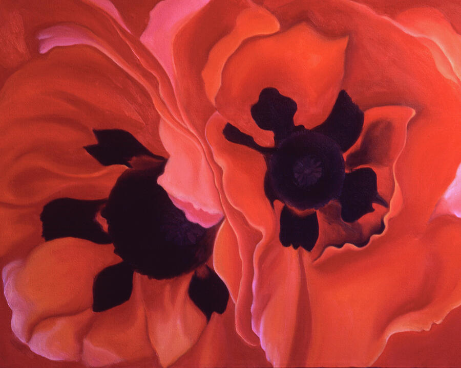 Flower Painting - Inspired by Georigas Double Poppy by Elizabeth Adkins Flower Painting - Inspired by Georigas Double Poppy by Elizabeth Adkins