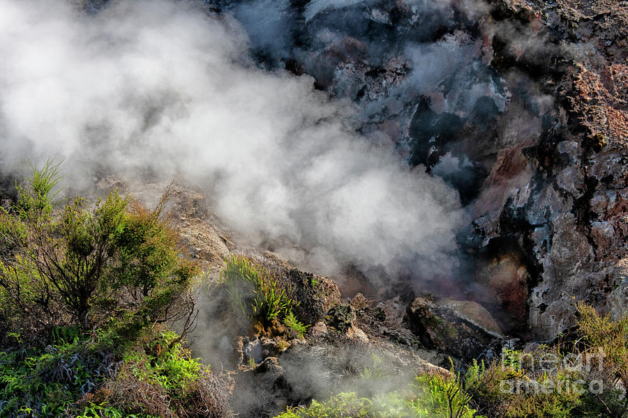 Geothermal Area In Waimangu Volcanic Valley, New Zealand Photograph