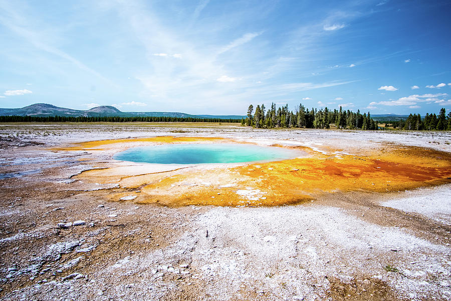 Geothermal Spring in Yellowstone Photograph by Alberto Zanoni