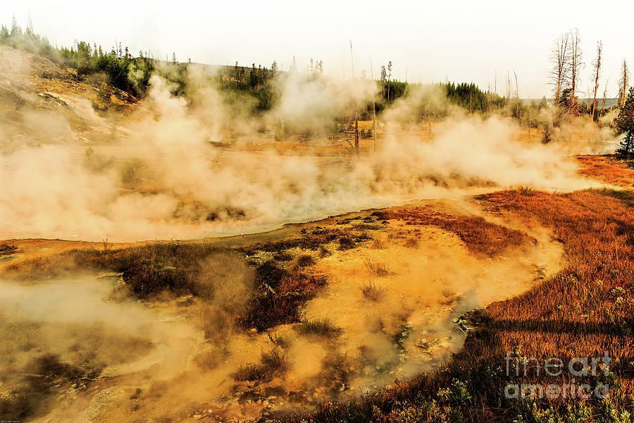 Geothermal Area Yellowstone Photograph by Ben Graham
