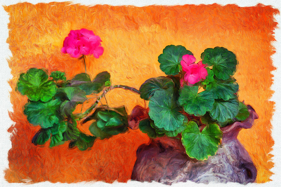 Geraniums in a clay pot still life painting Photograph by Tatiana Travelways
