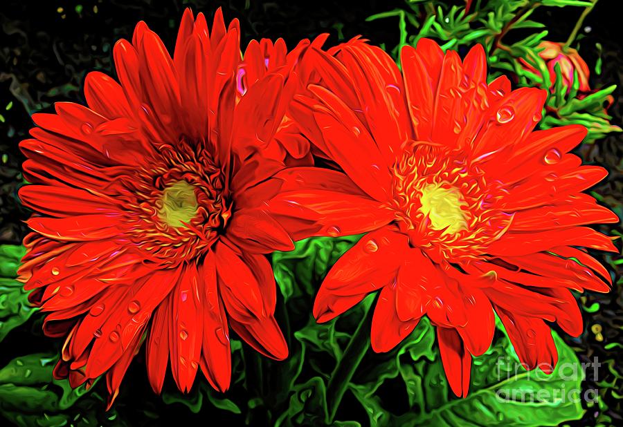 Gerbera Daisies Abstract Expressionism Effect Photograph by Rose Santuci-Sofranko