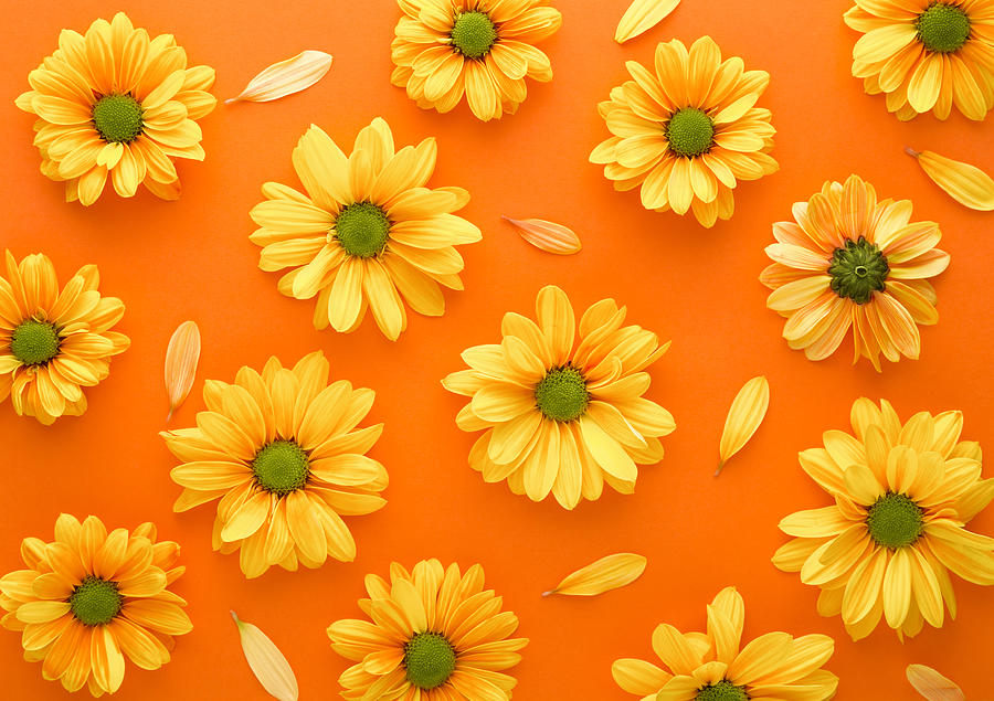 Vintage Mixed Media - Gerbera spring flowers arranged on a orange background by Julien