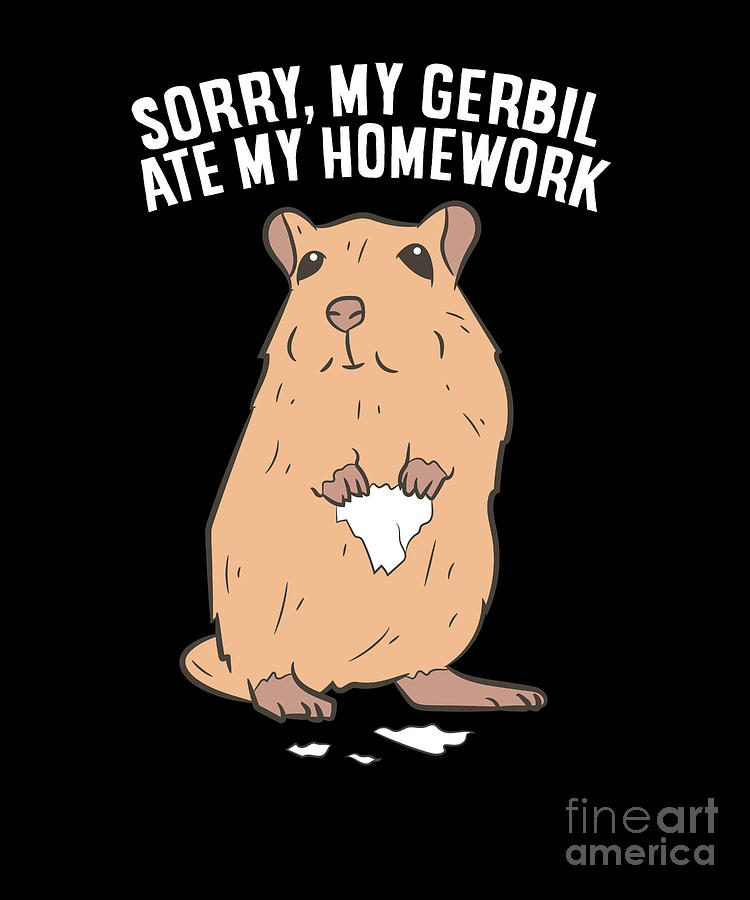 gerbil ate my homework