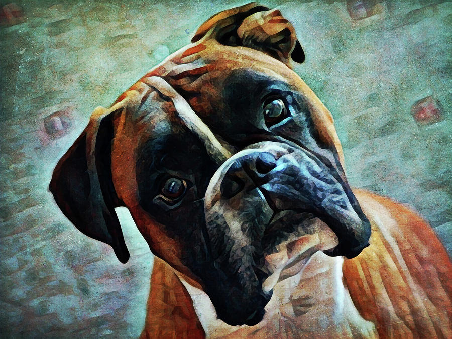 German Boxer Intrigue Painting by Ashley Aldridge
