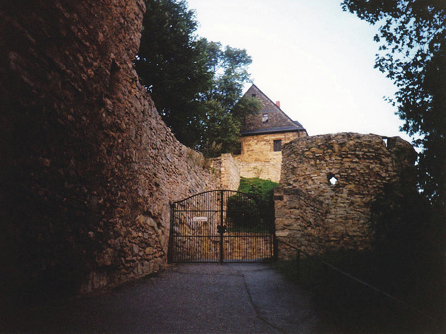 German Castle Gates Photograph by Glenn Scano