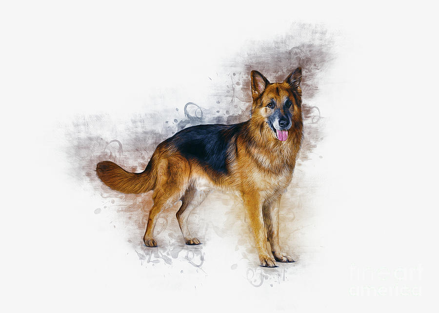 German Shepherd Art Digital Art