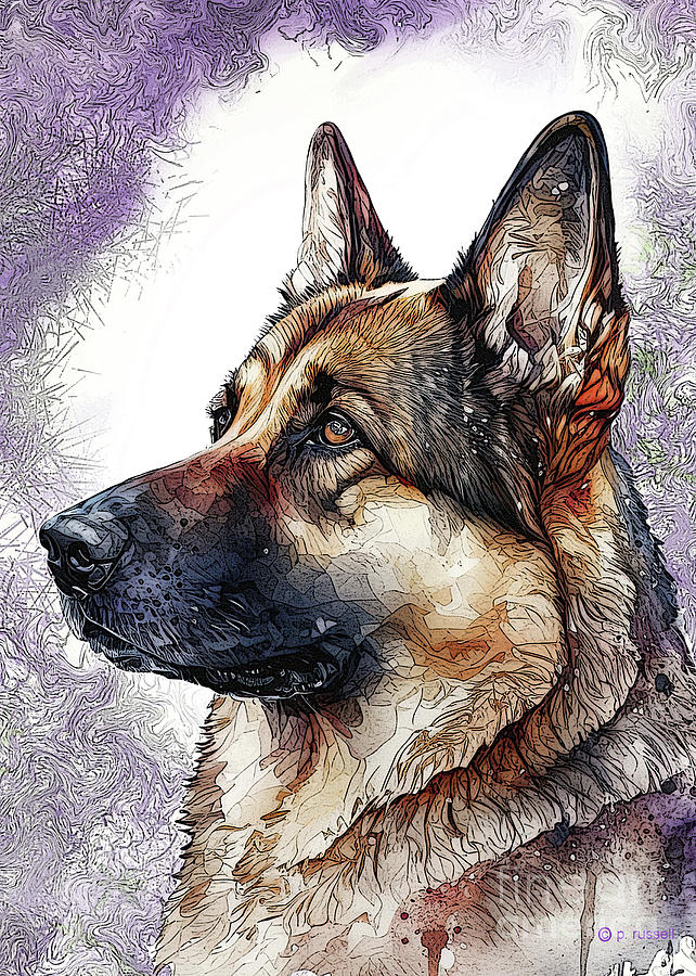 German Shepherd Dog Looking Left Mixed Media by P Russell