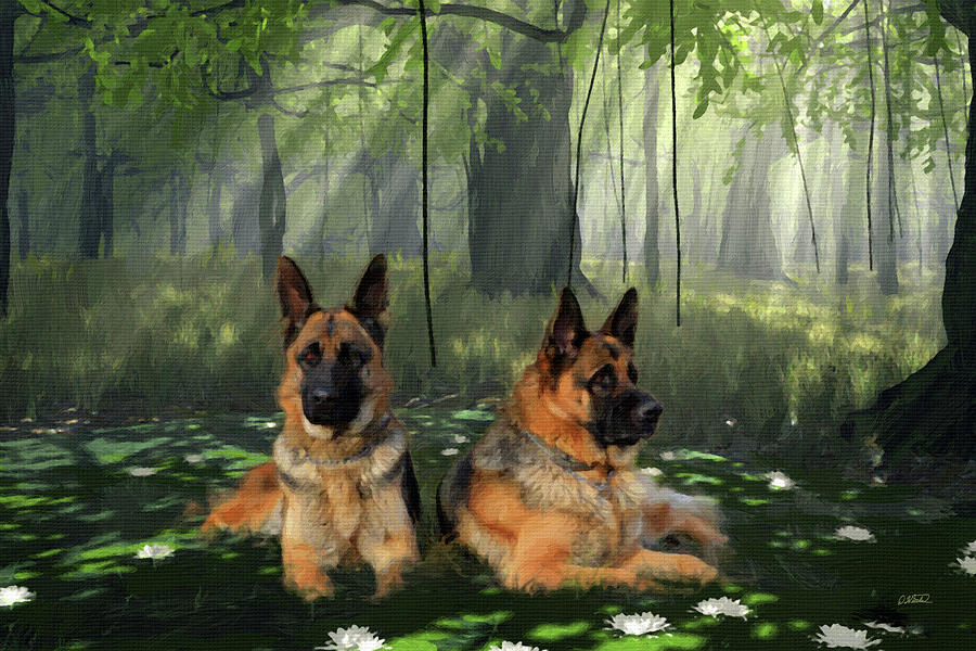 German Shepherd Dogs Relaxing in the Pond - DWP1586973 Painting by Dean Wittle