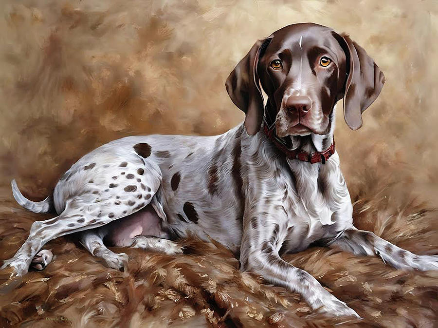 German shorthair pointer  Photograph by Dennis Baswell