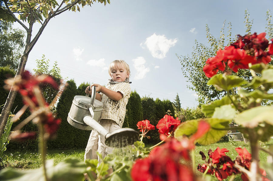 Germany, Bavaria, Boy watering garden flowers Photograph by Westend61