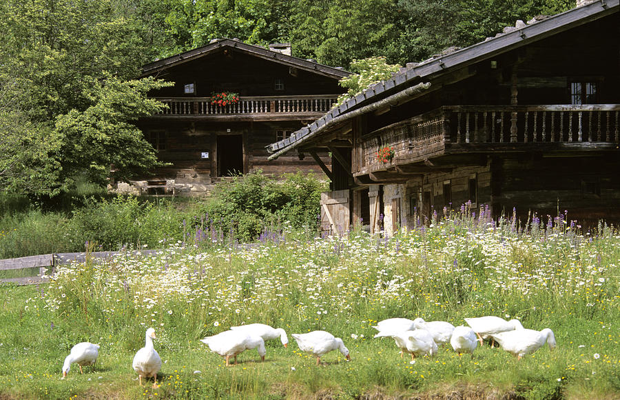Germany, Bavarian Forest, Farm museum in Tittling Photograph by Herbert Scholpp