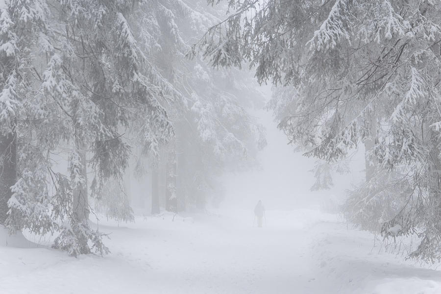 Germany, North Rhine Westphalia, Person hiking in snowy and foggy forest in Sauerland near Winterberg Photograph by Westend61