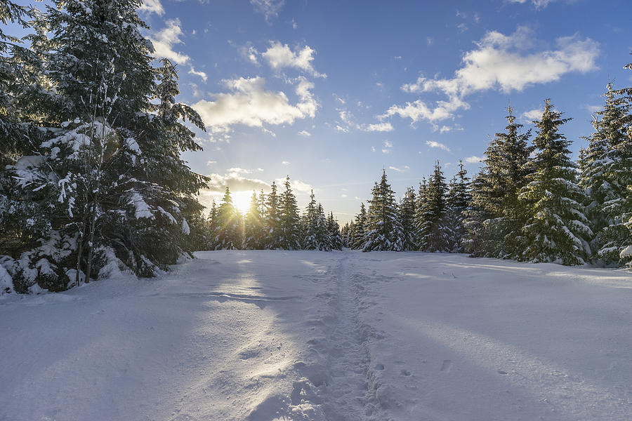 Germany, Saxony-Anhalt, Harz National Park, Landscape in winter, hiking trail in the evening Photograph by Westend61