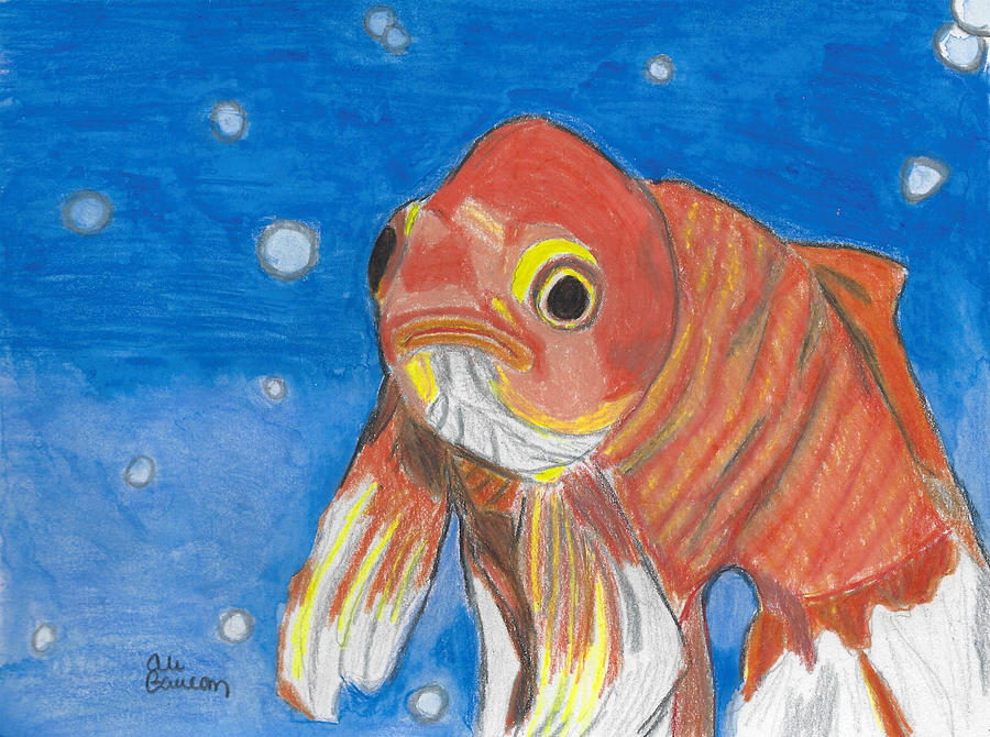 Gertrude the Grumpy Gold Fish Drawing by Ali Baucom