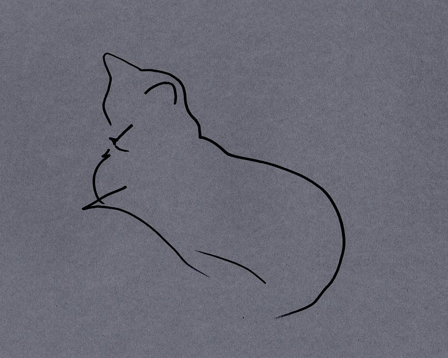 Gesture Lines of a Grey Cat Drawing by Katherine Nutt