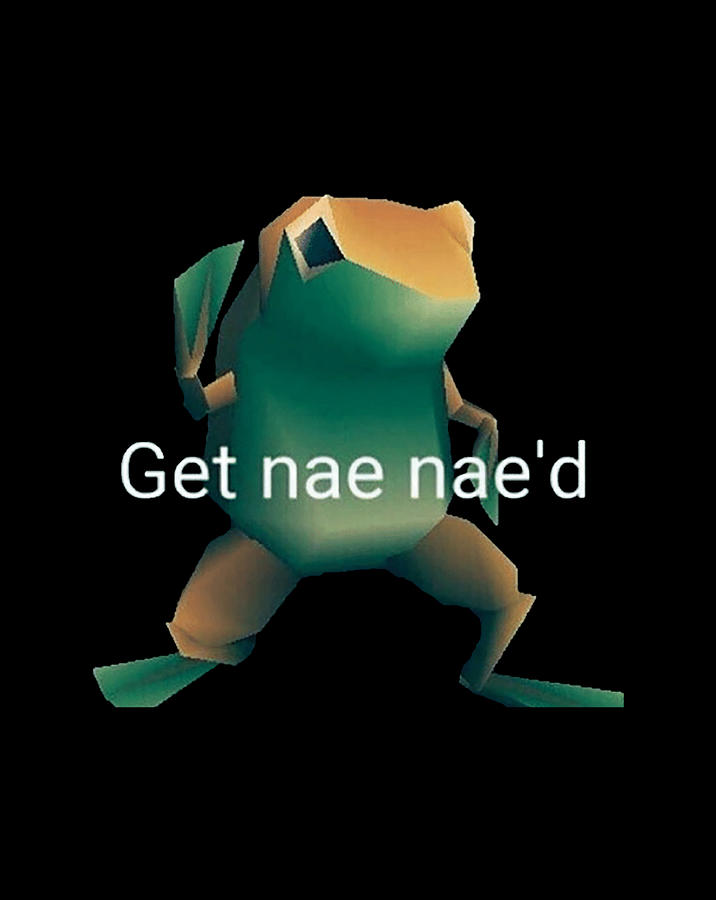 Get Nae Nae'd Meme Dancing Frog Digital Art by Andy Nguyen