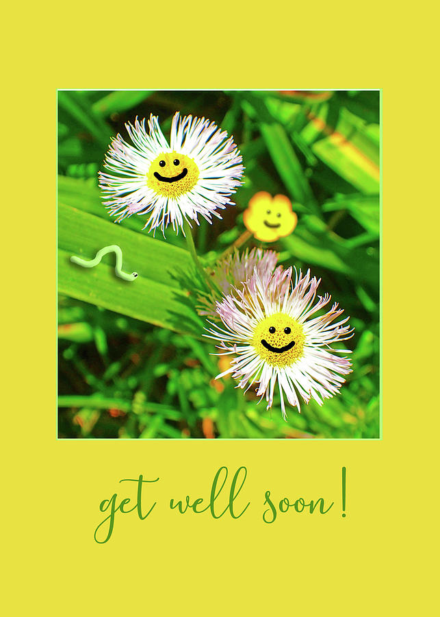 Get well soon smiling flowers Digital Art by Denise Beverly