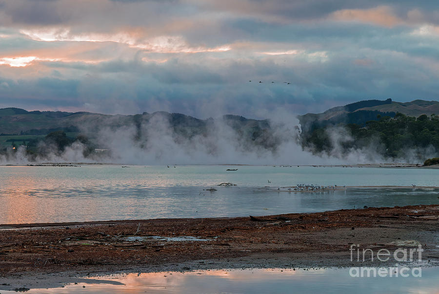 Getting Steamed up at Lake Rotorua, New Zealand  Photograph by Elaine Teague