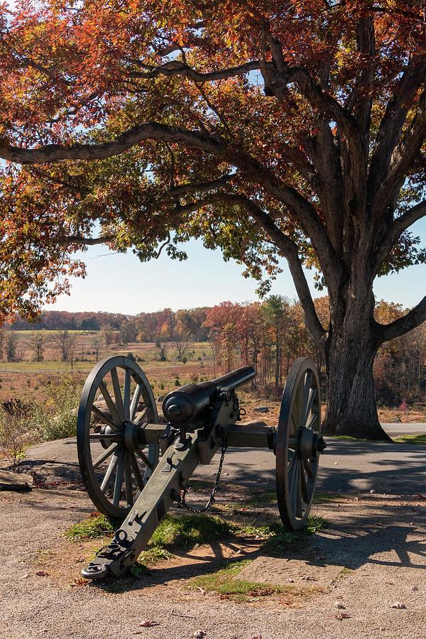 Gettysburg - Witness Tree above Devils Den Photograph by Liza Eckardt